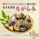 【ふるさと納税】九十九里産 ながらみ 500g×3 計1.5kg ...