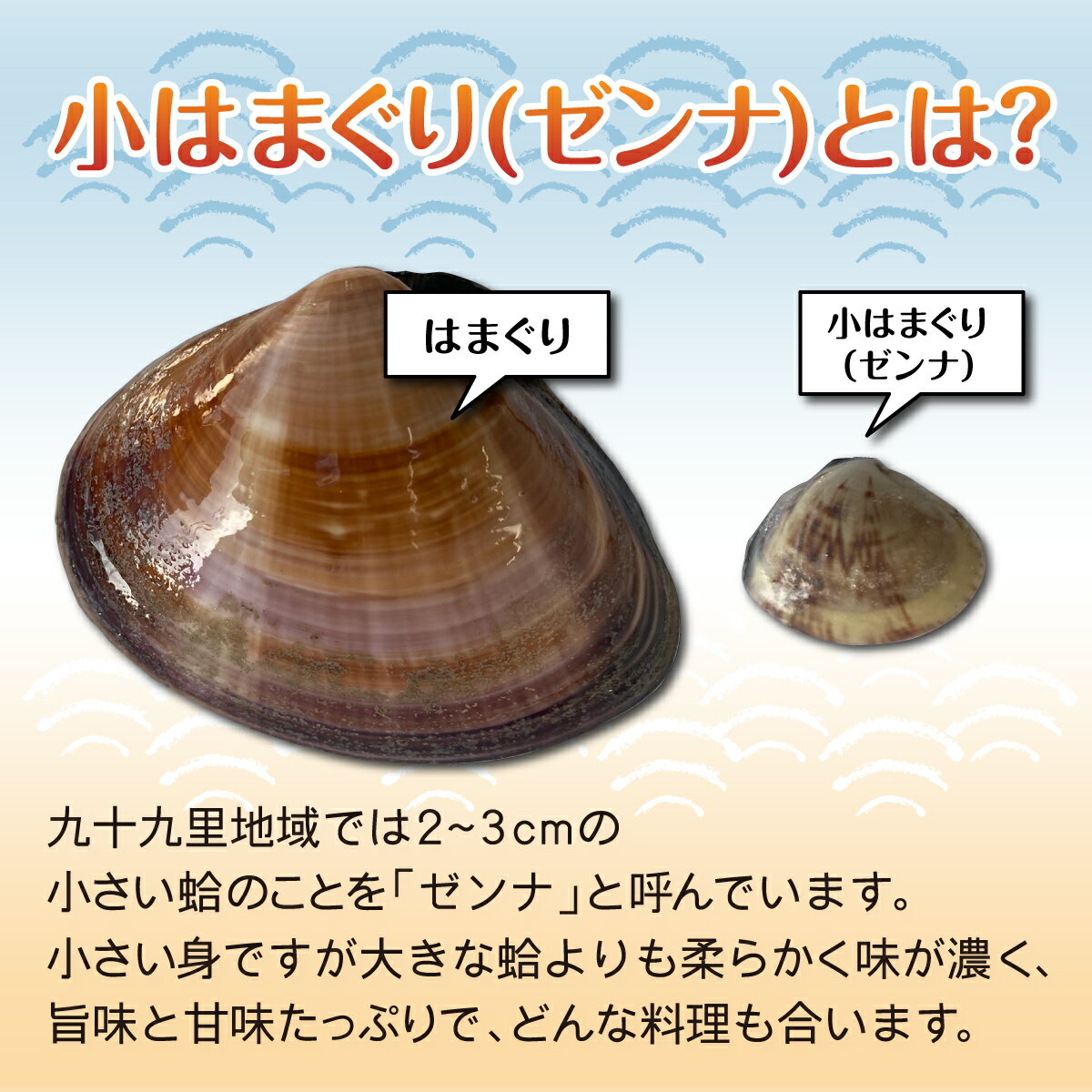 【ふるさと納税】小はまぐり（ゼンナ）1.2kg（400g×3パック） ふるさと納税 貝 ぜんな ゼンナ 小はまぐり 国産 千葉県 送料無料 SHF007