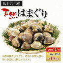 白子 【ふるさと納税】【定期便12ヶ月】九十九里産 大粒 天然はまぐり1.5kg×12回 計18kg ふるさと納税 はまぐり 蛤 天然 焼きはま 網焼き 酒蒸し お吸い物 お祝い パエリア 和食 活はまぐり 千葉県 白子町 SHF011