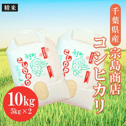 令和5年産 千葉県産 コシヒカリ（精米）10kg（2023年9月上旬から発送） ふるさと納税 お米 10kg 千葉県産 白子町 コシヒカリ 米 精米 こめ 年越し おせち お餅 新年 お雑煮 送料無料 SHM002