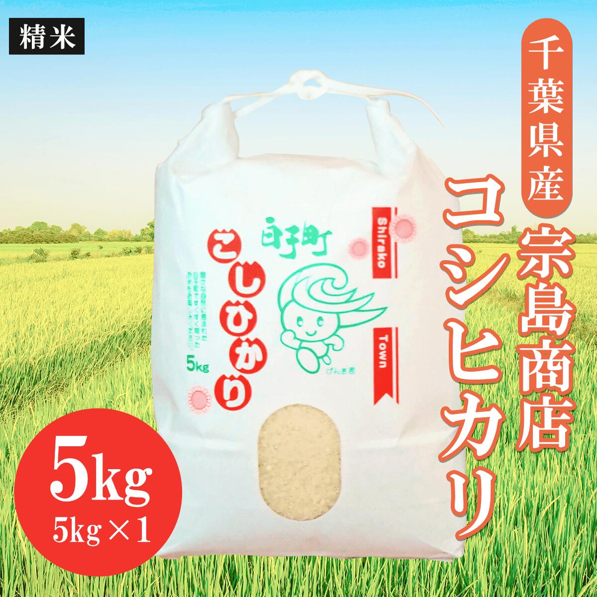 令和5年産 千葉県産 コシヒカリ(精米)5kg(2023年9月上旬から発送) ふるさと納税 お米 5kg 千葉県産 白子町 コシヒカリ 米 精米 こめ 年越し おせち お餅 新年 お雑煮 送料無料