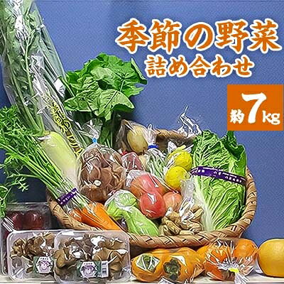季節の野菜詰め合わせ(約7kg)【配送不可地域：離島・北海道・沖縄県・東北・中国・四国・九州】【1025155】