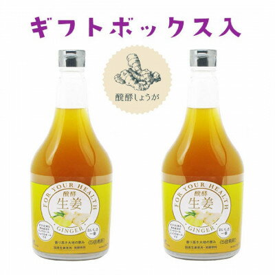 【ふるさと納税】醗酵生姜565ml × 2本(飲料/5倍希釈) 【添加物不使用】【1306242】