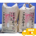 【ふるさと納税】【毎月定期便】ながらのコシヒカリ 3kg×2袋(精米)全3回【4073174】