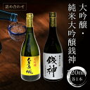 【ふるさと納税】大吟醸・純米大吟醸銭神詰め合わせ 720ml×各1本 ふるさと納税 大吟醸 純米酒 日本酒 送料無料 TY02031