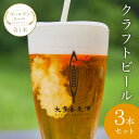 5位! 口コミ数「0件」評価「0」 W00801 クラフトビール3本セット ゴールデンエールIPAスタウト各1本ふるさと納税 ビール クラフトビール ゴールデンエール スタウ･･･ 