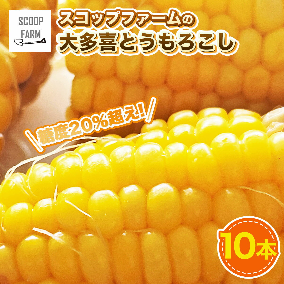 14位! 口コミ数「0件」評価「0」スコップファームの「大多喜とうもろこし」10本 W01033