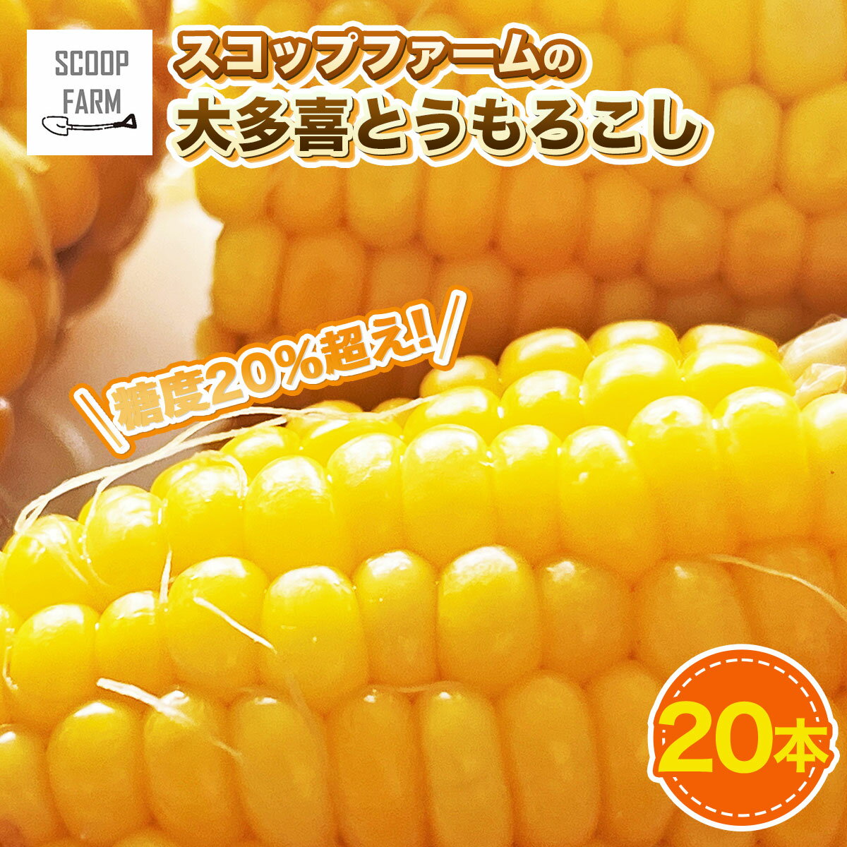 8位! 口コミ数「0件」評価「0」スコップファームの「大多喜とうもろこし」20本 W02038