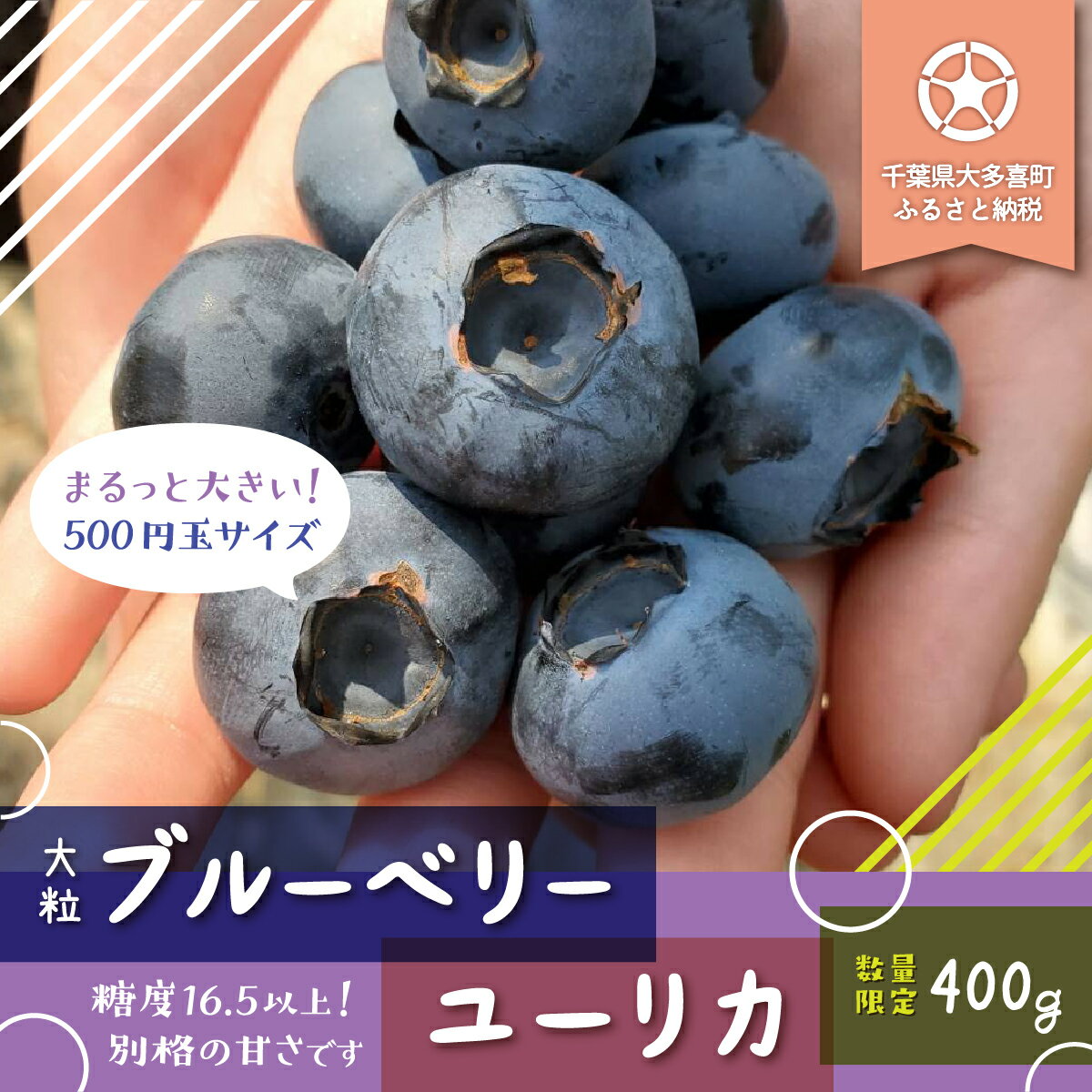 ブルーベリー 数量限定 送料無料 大粒ブルーベリーユーリカ400g