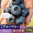 2位! 口コミ数「2件」評価「3」ブルーベリー　数量限定　送料無料　大粒ブルーベリーユーリカ400g　W01024