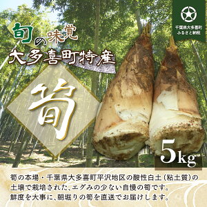 【ふるさと納税】大多喜町産　朝掘り「たけのこ」5kg　千葉県産　たけのこ　筍　山菜　数量限定　送料無料　W01541