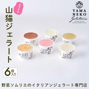 【ふるさと納税】野菜ソムリエのイタリアンジェラート専門店<山猫ジェラート>おすすめ6個セット ふるさと納税 ジェラート アイス アイスクリーム 千葉 大多喜町 送料無料 W01201