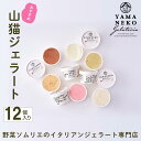 【ふるさと納税】野菜ソムリエのイタリアンジェラート専門店<山猫ジェラート>おすすめ12個セット ふるさと納税 ジェラート アイス アイスクリーム 千葉 大多喜町...