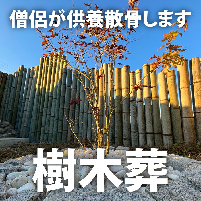 【ふるさと納税】樹木葬散骨 ふるさと納税 供養 お墓 樹木葬 散骨 献花 お祈り 先祖 命日 お盆 お彼岸カンシャ 千葉県 大多喜町 送料無料 SK55003