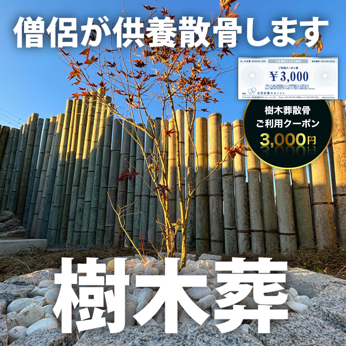 17位! 口コミ数「0件」評価「0」樹木葬散骨ご利用クーポン3,000円 ふるさと納税 供養 お墓 永代 献花 お祈り 散骨 先祖 命日 お盆 お彼岸カンシャ 千葉県 大多喜町･･･ 