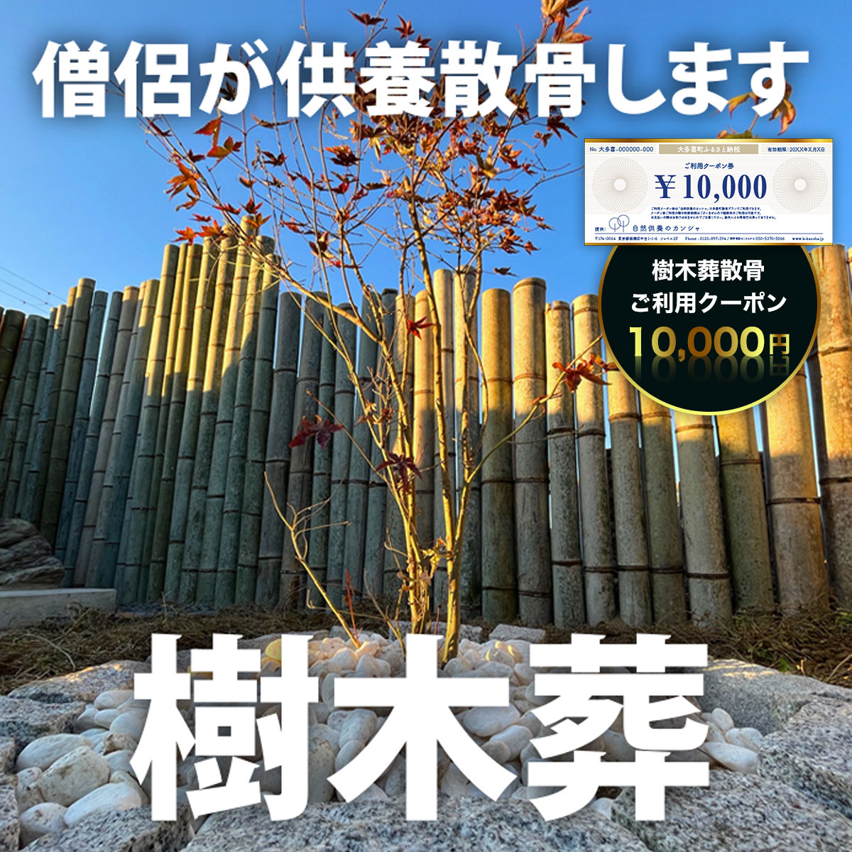 樹木葬散骨ご利用クーポン10,000円 ふるさと納税 供養 お墓 永代 献花 お祈り 散骨 先祖 命日 お盆 お彼岸カンシャ 千葉県 大多喜町 送料無料 SK03403