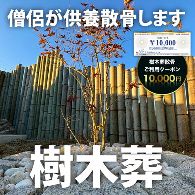 楽天ふるさと納税　【ふるさと納税】樹木葬散骨ご利用クーポン10,000円 ふるさと納税 供養 お墓 永代 献花 お祈り 散骨 先祖 命日 お盆 お彼岸カンシャ 千葉県 大多喜町 送料無料 SK03403