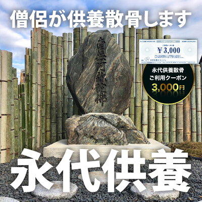 楽天ふるさと納税　【ふるさと納税】永代供養散骨 ご利用クーポン 3,000円 ふるさと納税 供養 お墓 永代 献花 お祈り 散骨 先祖 命日 お盆 お彼岸カンシャ 千葉県 大多喜町 送料無料 SK01001