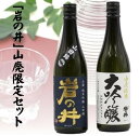 【ふるさと納税】「岩の井」山廃限定酒セット