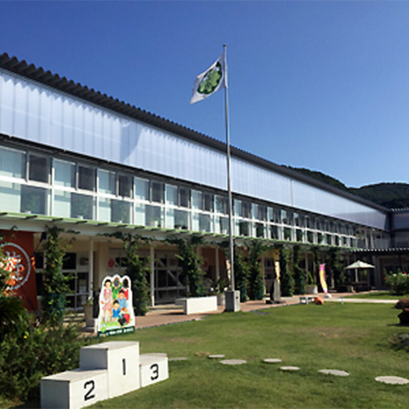 【ふるさと納税】道の駅保田小学校スタッフ厳選！鋸南町農産物セットA ／ やさい 季節野菜 千葉県 特産品 F22X-029