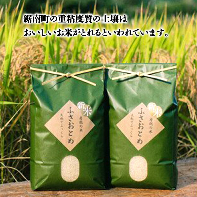 【ふるさと納税】令和5年産米 新米 ふさおとめ 精米 10kg お米 白米 新鮮 産地直送 千葉県 鋸南町 特産 F22X-034