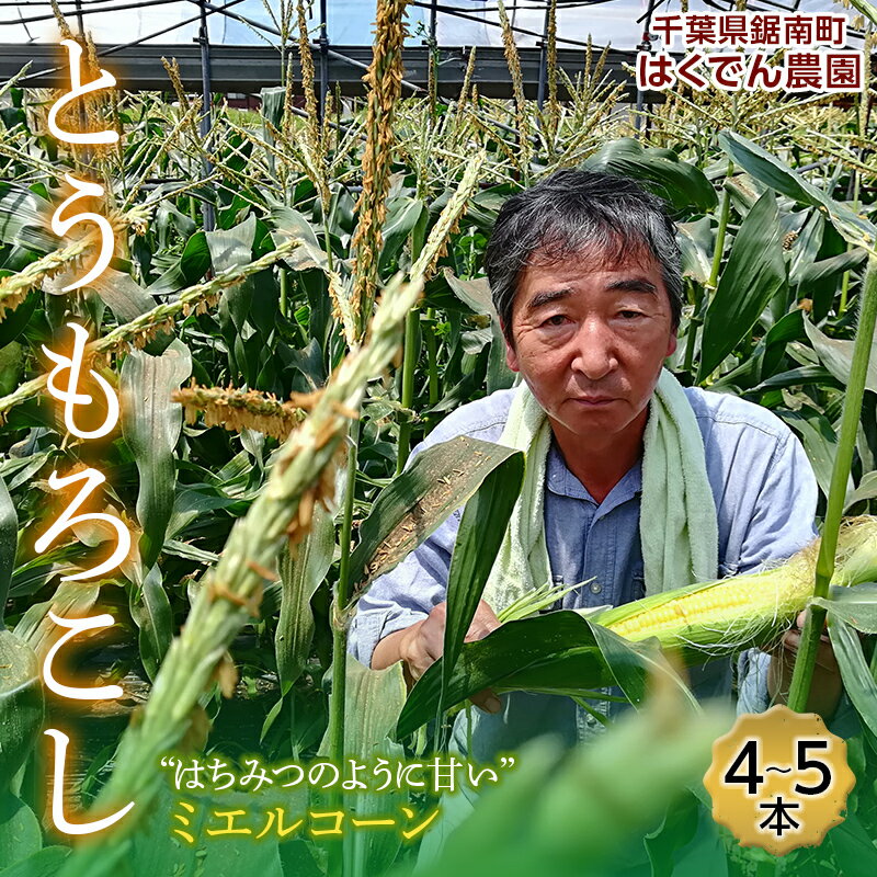 【ふるさと納税】はくでん農園のとうもろこし ミエルコーン 4～5本（1.5kg） 農家直送 トウモロコシ 千葉県 鋸南町 F22X-078のサムネイル