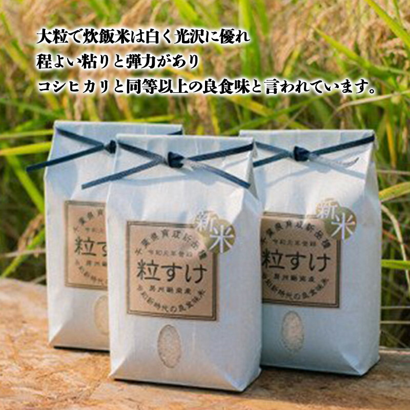 【ふるさと納税】令和5年産米 新米 食べ比べ （粒すけ＆ふさおとめ） 各5kg 合計10kg 白米 お米 ご飯 米 千葉県 鋸南町 F22X-135