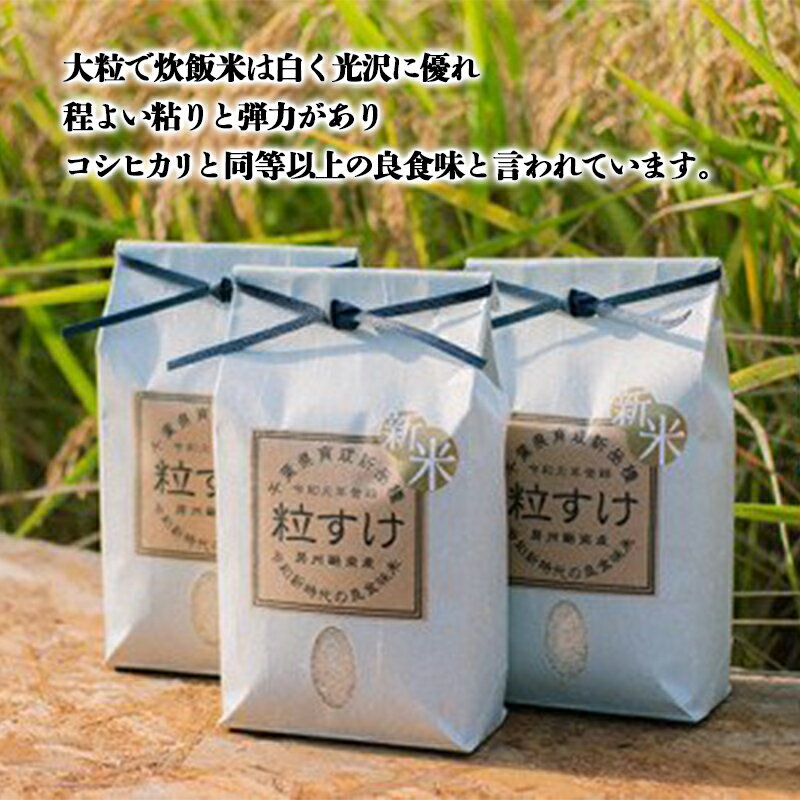 【ふるさと納税】 令和7年産米 新米 粒すけ 精米 5kg （5kg×1袋） 白米 お米 ご飯 米 千葉県 鋸南町 F22X-136