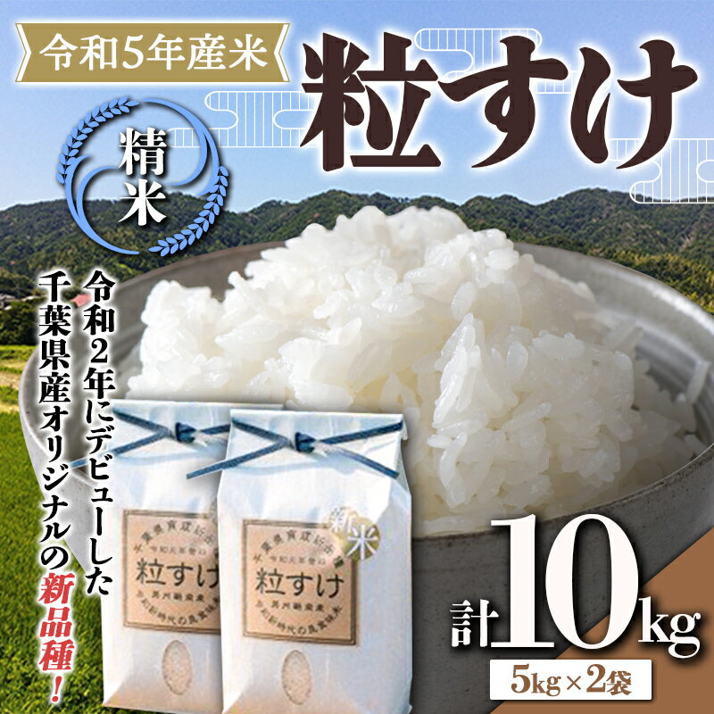 17位! 口コミ数「0件」評価「0」令和5年産米 新米 精米 10kg （5kg×2袋） 白米 お米 ご飯 米 千葉県 鋸南町 F22X-137