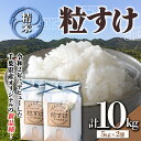 【ふるさと納税】令和5年産米 新米 精米 10kg （5kg