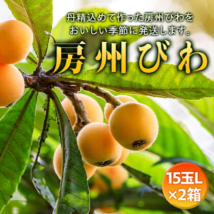 【2024年度先行予約】房州びわ L15玉×2箱 ／ ビワ 枇杷 中玉 産地直送 千葉県 特産 F22X-139