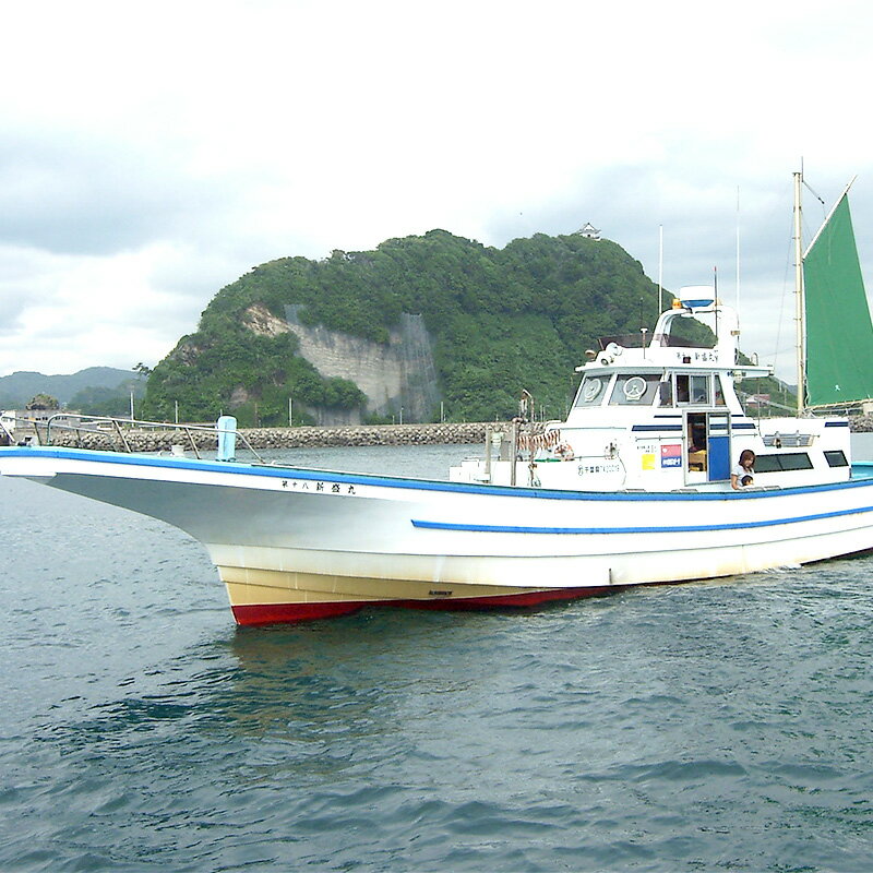 【ふるさと納税】新盛丸 釣船乗船 補助券 1名様（1回10,000円分） F22X-142その2