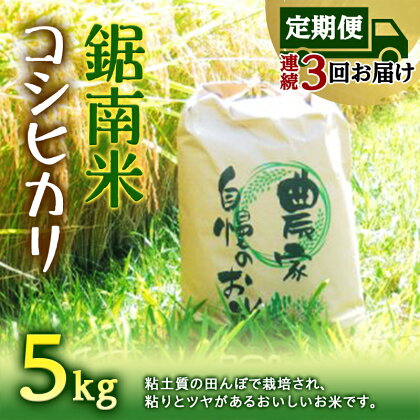 【定期便3回連続お届け】令和5年産米 鋸南米 コシヒカリ 5kg 精米 F22X-151