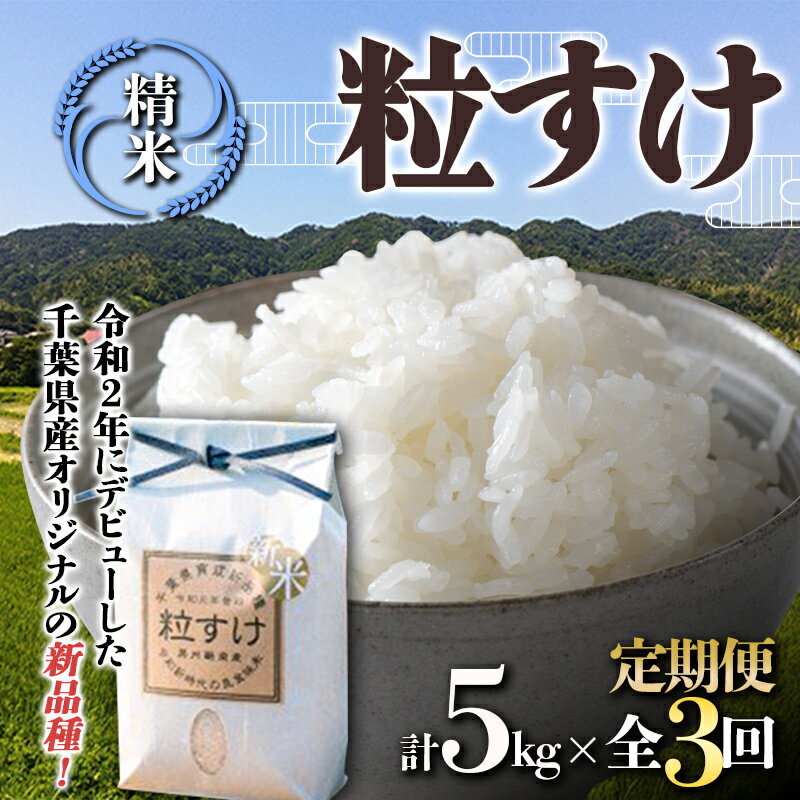 【ふるさと納税】令和5年度産 新米 【定期便3回連続お届け】鋸南米 粒すけ 5kg 白米 お米 ご飯 米 千葉県 鋸南町 F22X-154のサムネイル