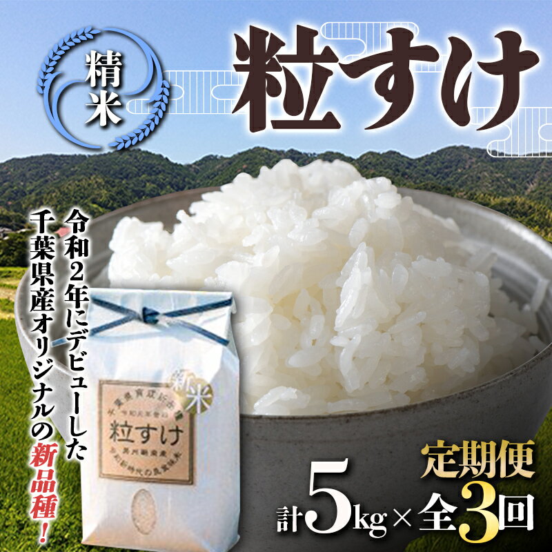 18位! 口コミ数「0件」評価「0」令和5年度産 新米 【定期便3回連続お届け】鋸南米 粒すけ 5kg 白米 お米 ご飯 米 千葉県 鋸南町 F22X-154