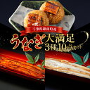 19位! 口コミ数「0件」評価「0」千葉県鋸南町産 無投薬 うなぎ大満足3種10点セット (鰻の蒲焼3本・鰻の白焼2本・うなむすび5個) 個包装 国産 養殖 鰻 うなぎ ウナギ･･･ 