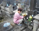 千葉県鋸南町の画像3