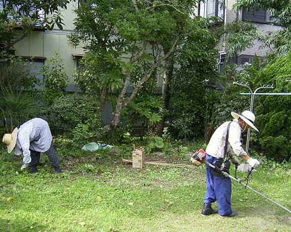 千葉県鋸南町の画像2