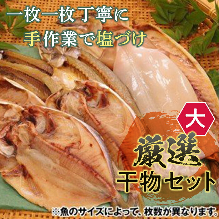 【ふるさと納税】《手塩づけ》厳選干物セット（大） ／ 魚 ひもの 加工品 手塩づくり 千葉県 特産 鋸南町 提灯屋干物店 F22X-012