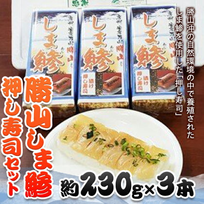 勝山しま鯵押し寿司セット 3本 ／ 鯵 あじ すし 千葉県 特産品 F22X-110