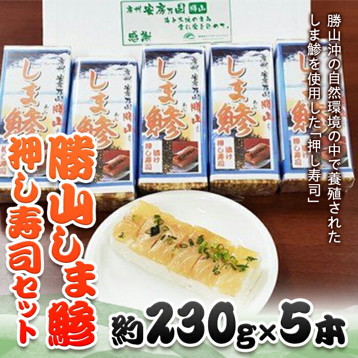 【ふるさと納税】勝山しま鯵押し寿司セット 5本 ／ 鯵 あじ すし 千葉県 特産品 F22X-111 1