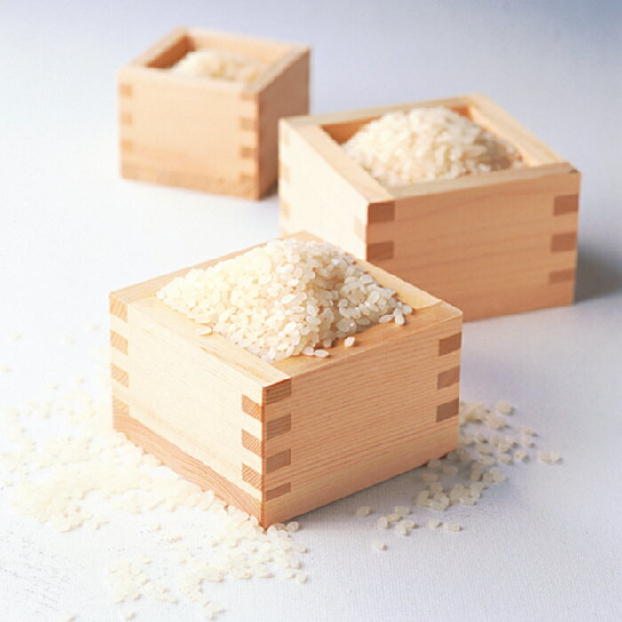 【ふるさと納税】 令和7年度産 新米 鋸南米コシヒカリ10kg精米 F22X-105