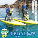 【ふるさと納税】PEDAL(足漕ぎ)SUP体験(約60分) F22X-088