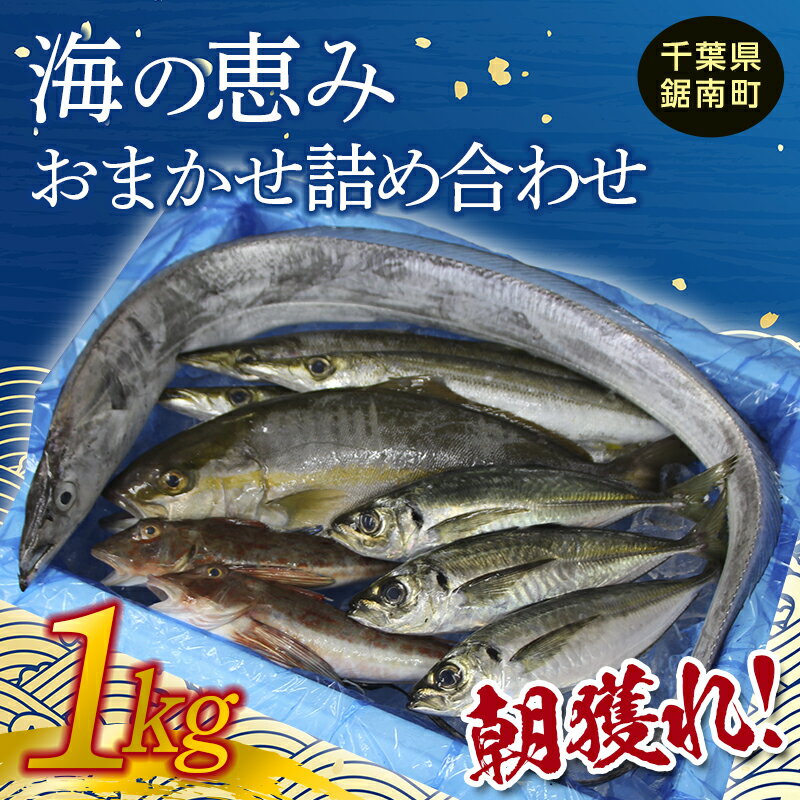 朝獲れ!海の恵み おまかせ 詰め合わせセット 1kg 魚介 海鮮 魚 処理済み 千葉県 鋸南町 F22X-113