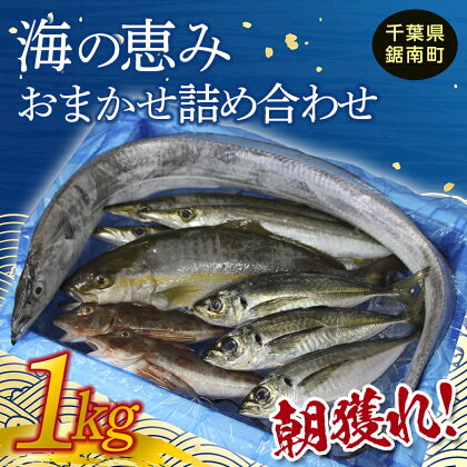 朝獲れ！海の恵み おまかせ 詰め合わせセット 1kg 魚介 海鮮 魚 処理済み 千葉県 鋸南町 F22X-113