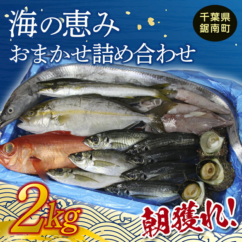 【ふるさと納税】朝獲れ！海の恵みおまかせ詰め合わせセット 2kg 魚介 海鮮 魚 処理済み 千葉県 鋸南町 F22X-114