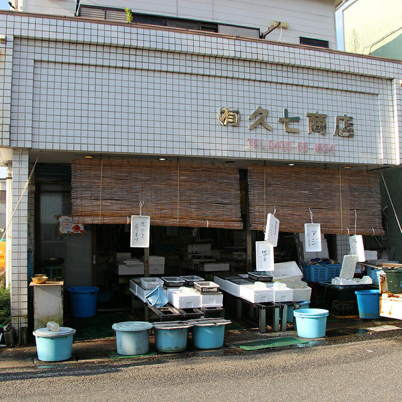 【ふるさと納税】朝獲れ！海の恵みおまかせ詰め合わせセット 2kg 魚介 海鮮 魚 処理済み 千葉県 鋸南町 F22X-114