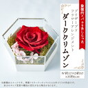 【ふるさと納税】【プレミアム大輪ローズ】モダンプリザーブドフラワーアレンジメント「ダーククリムゾン」【1578553】