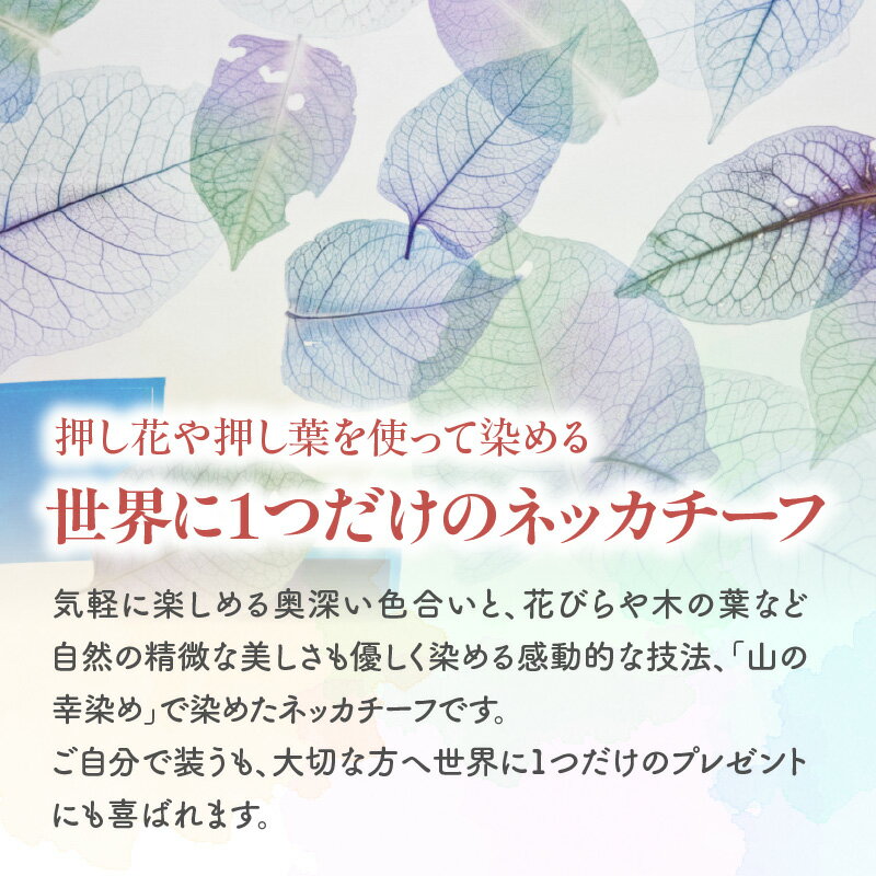 東京都新宿区の画像2