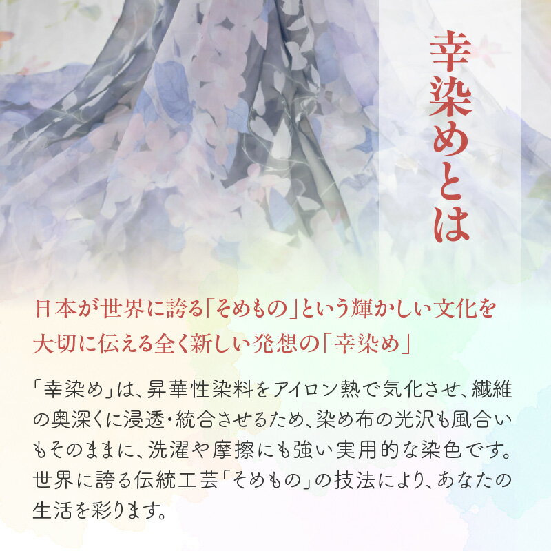 東京都新宿区の画像3